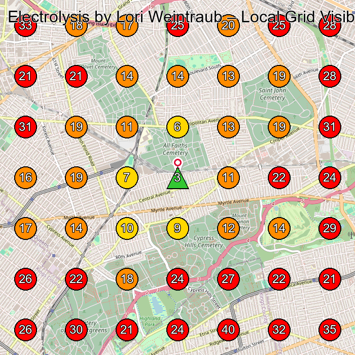 Electrolysis by Lori Weintraub GeoGrid visibility map for Electrolysis Hair Removal Service in Avenue T